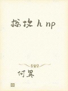 总攻 h np
