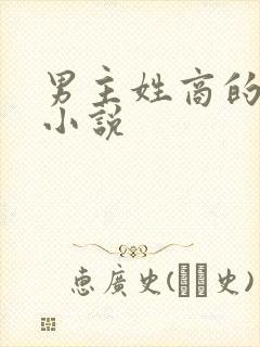 男主姓商的总裁小说