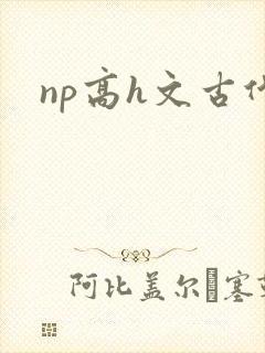 np高h文古代