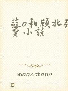 苏o和顾北弦免费小说封面