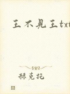 王不见王txt