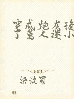 穿成炮灰后我成了万人迷小说