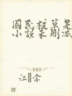 国民校草是女生小说未删减版