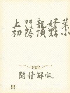 上门龙婿叶辰萧初然顶点小说