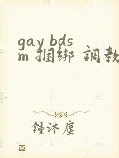 gay bdsm 捆绑 调教 男奴
