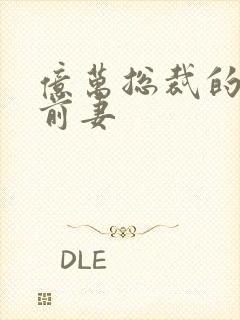 亿万总裁的天价前妻