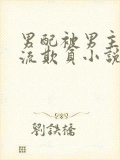 男配被男主们轮流欺负小说封面