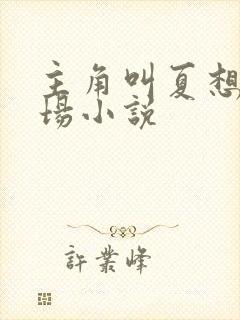 主角叫夏想的官场小说