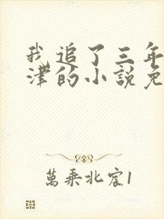 我追了三年的许津的小说免费阅读