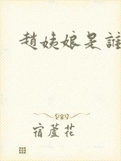 赵姨娘是谁啊封面