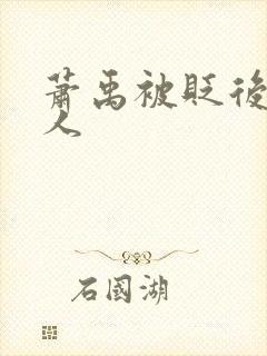 萧禹被贬后笑佳人封面