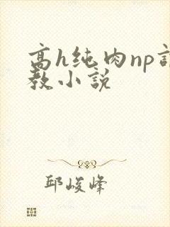 高h纯肉np调教小说封面