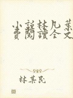 小说林凡叶惜免费阅读全文最新