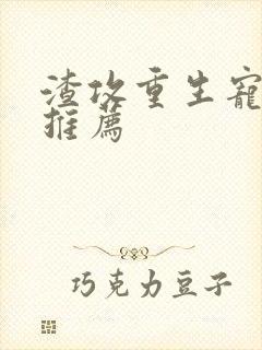 渣攻重生宠受文推荐