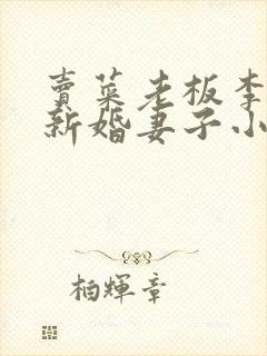 卖菜老板李芷珊新婚妻子小说封面