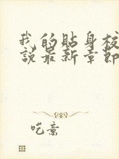 我的贴身校花小说最新章节精校版唐宇