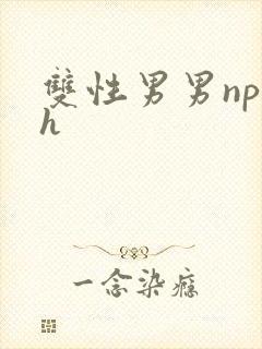 双性男男np高h封面