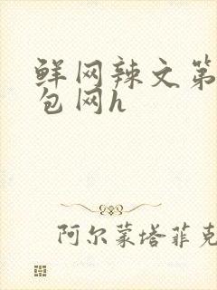 鲜网辣文第二书包网h
