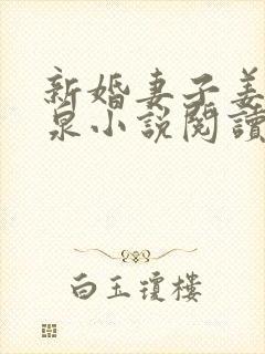 新婚妻子姜珊赵泉小说阅读封面