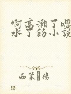 啊高潮了嗯～喷水了的小说