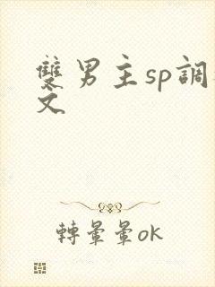 双男主sp调教文