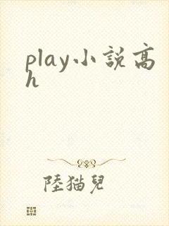 play小说高h封面