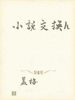 小说交换h封面