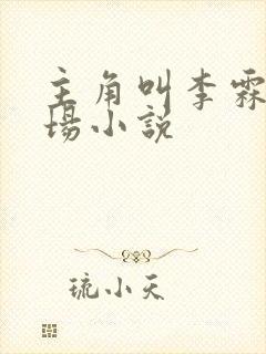 主角叫李霖的官场小说