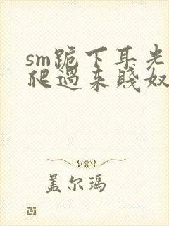 sm跪下耳光 爬过来贱奴