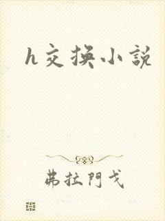 h交换小说