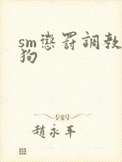 sm惩罚调教母狗