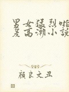 男女猛烈啪啪做爰高潮小说封面