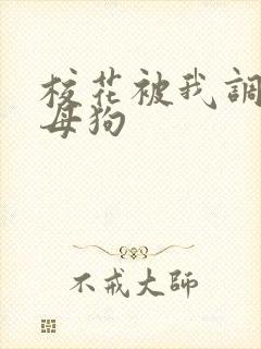 校花被我调教成母狗