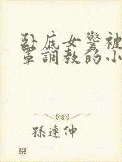 卧底女警被戴乳罩调教的小说