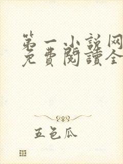 第一小说网全文免费阅读全文