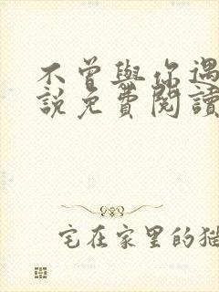 不曾与你遇见小说免费阅读封面