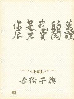 你是我的万千星辰免费阅读