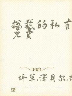 总裁的私有宝贝免费