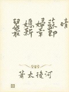 儿媳妇苏晴小说最新章节封面