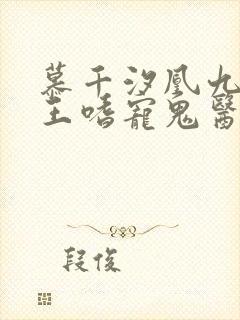 慕千汐凰九夜邪王嗜宠鬼医狂妃免费阅读