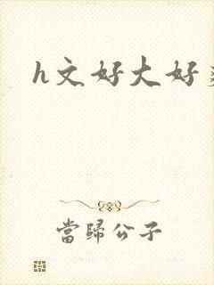 h文好大好爽封面