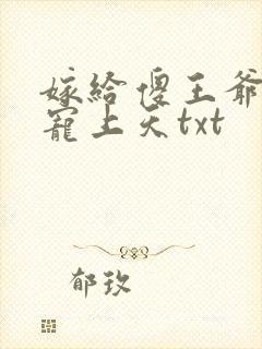 嫁给傻王爷后被宠上天txt