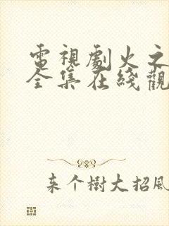 电视剧火之迷恋全集在线观看免费