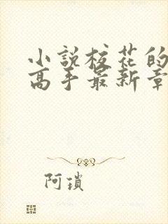 小说校花的贴身高手最新章节阅读