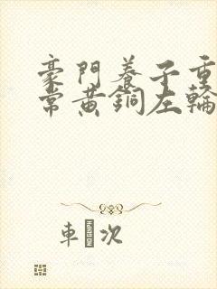 豪门养子重生日常黄铜左轮封面