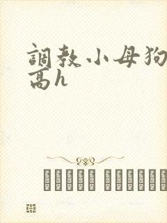 调教小母狗小说高h