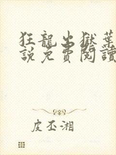 狂龙出狱叶风小说免费阅读全文