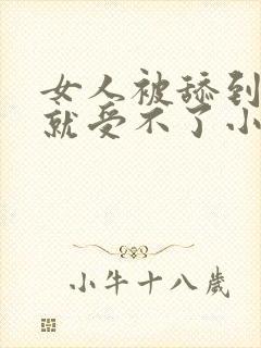 女人被舔到高潮就受不了小说