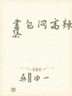 书包网高辣文合集