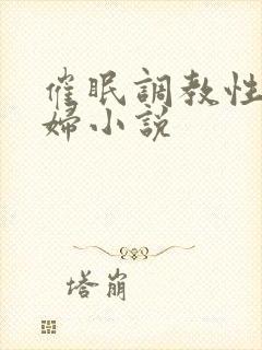 催眠调教性感少妇小说